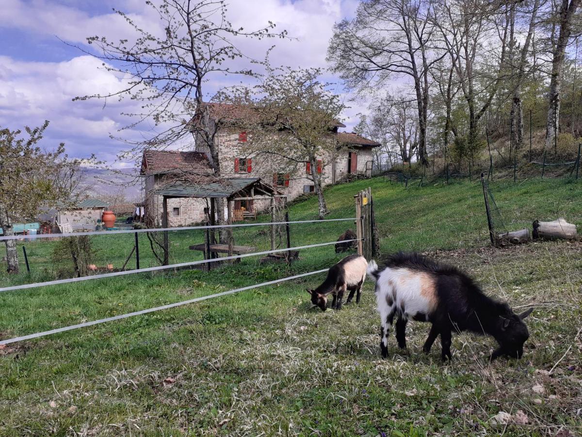 Cà Gennara Agri B&B Porretta Terme Extérieur photo